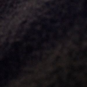 Meet your Posher, Alexandria